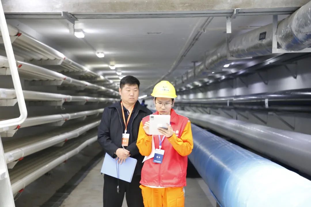 1701760932326865.jpg 4.jpg