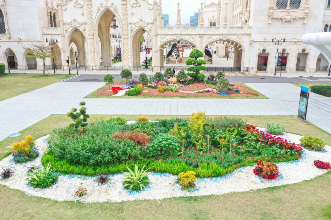 1706064114755189.jpg 9.jpg