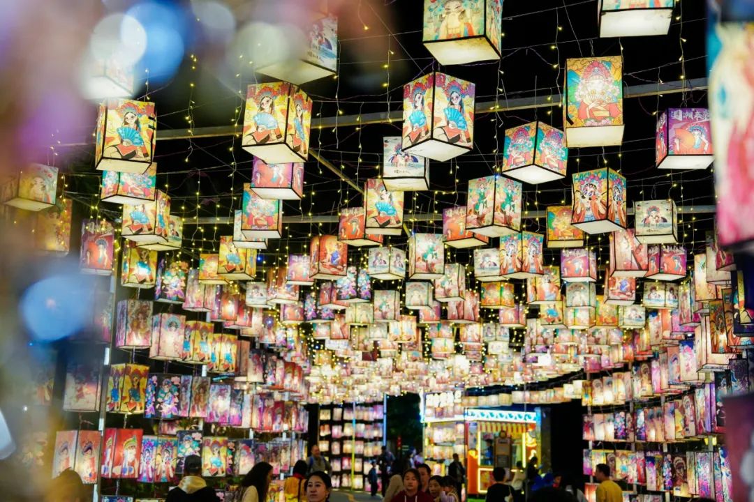 1708315789367117.jpg 8.jpg