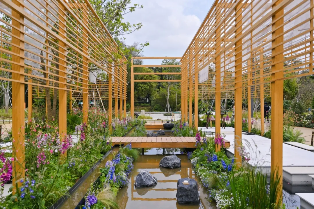 1711423853915593.jpg 16.jpg