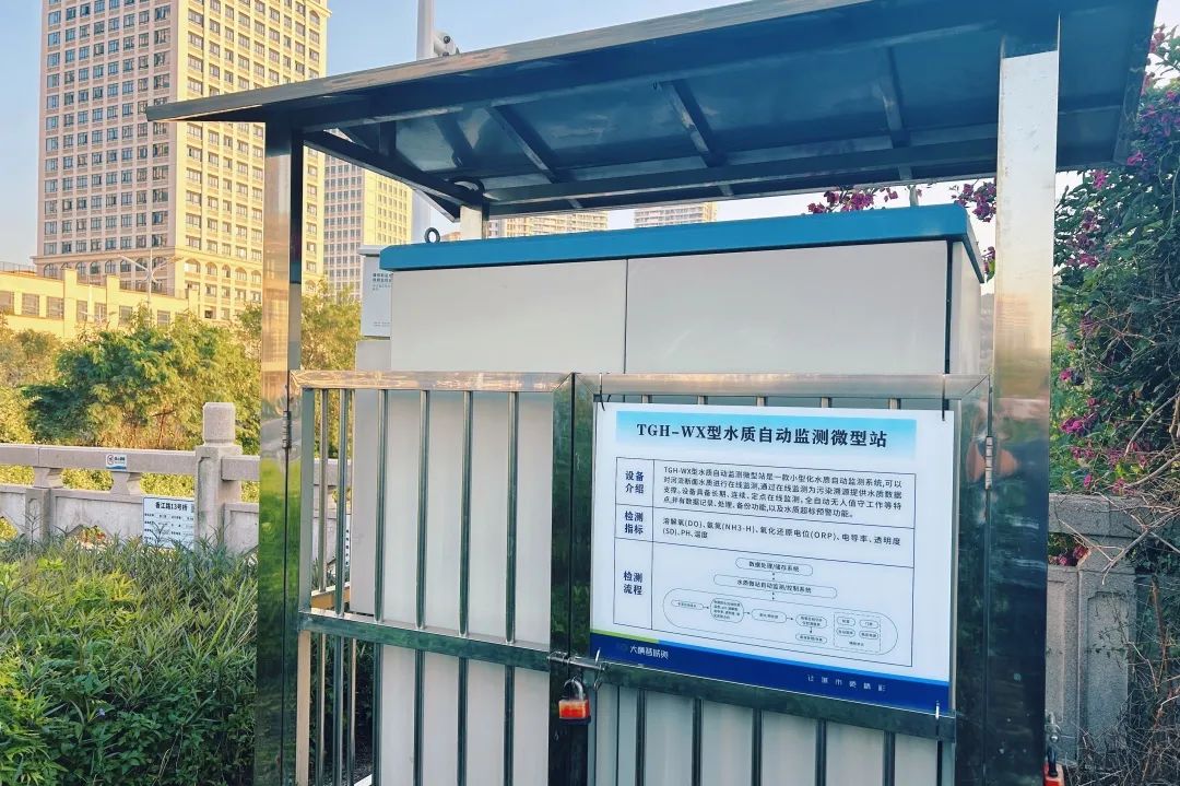 1733475407782358.jpg 4.jpg