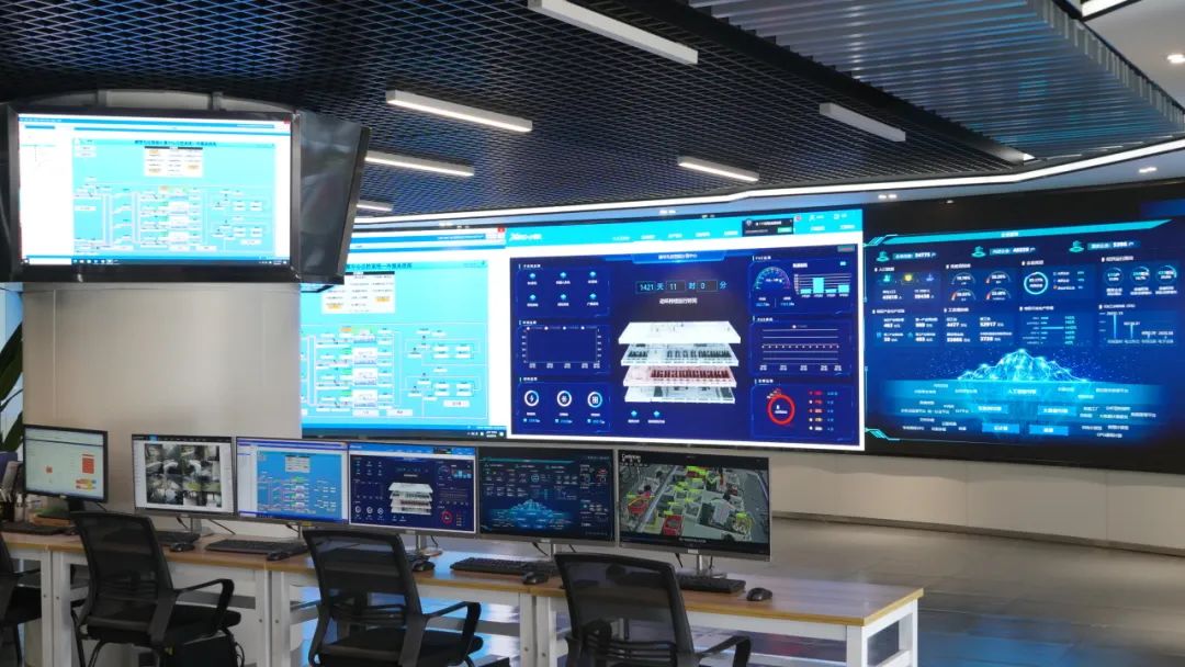 1735111024452554.jpg 3.jpg